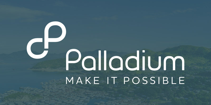 palladium logo design