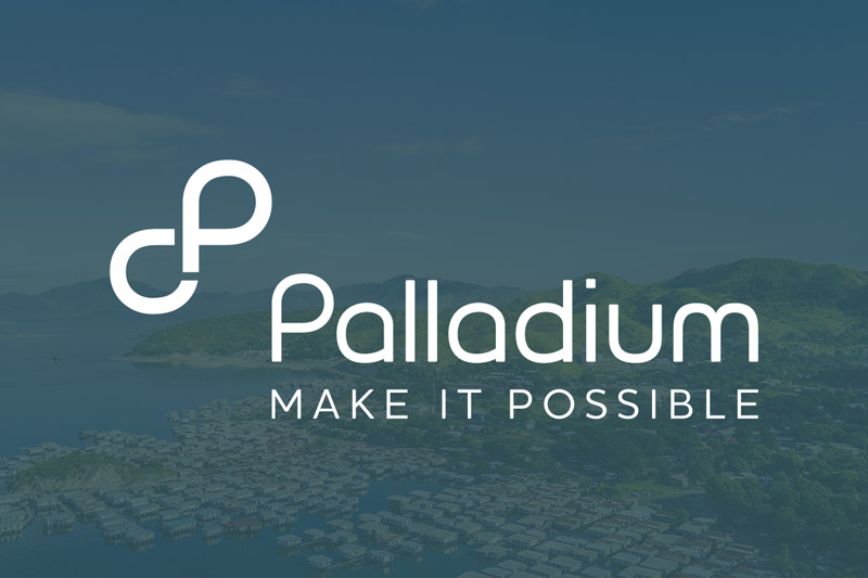 palladium logo design